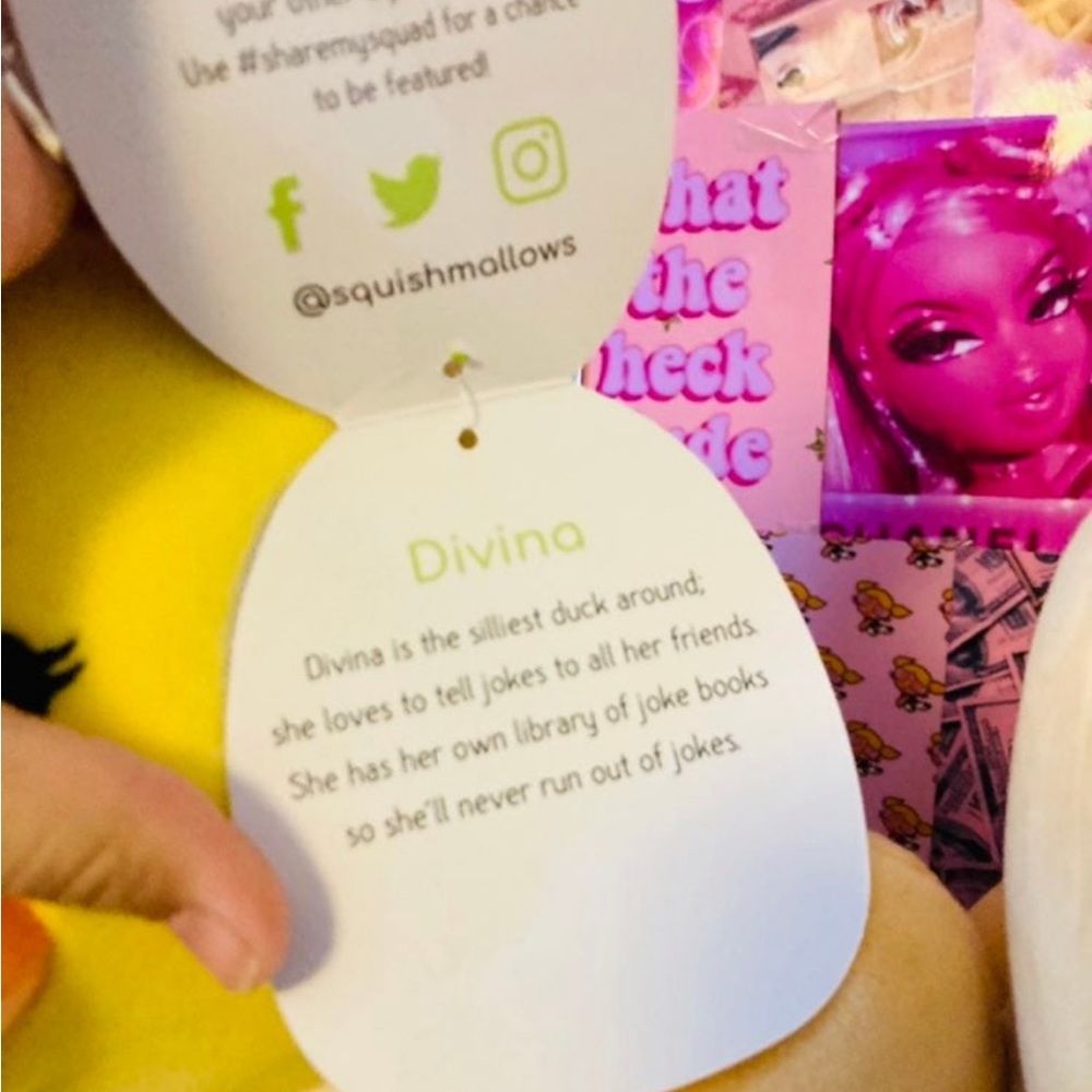 NWT Divina & Rito Hugmee Squishmallow RARE - Picture 4 of 5
